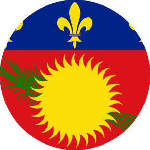 international flag of Guadeloupe