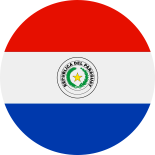 international flag of Paraguay